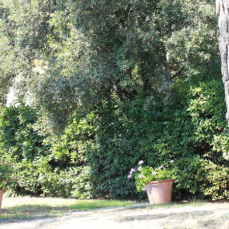 Villetta La Pineta Latignano Bagian luar foto