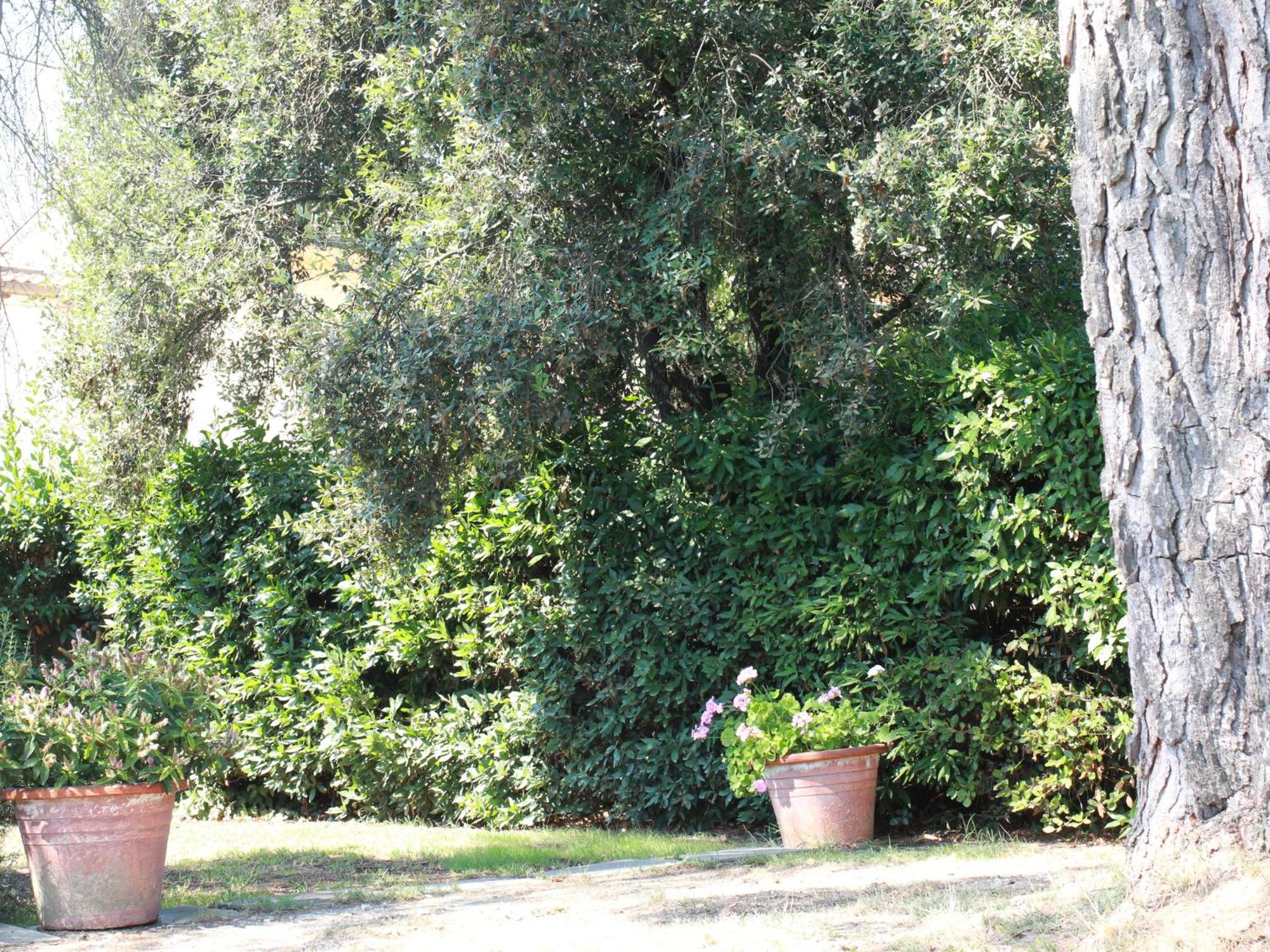Villetta La Pineta Latignano Bagian luar foto