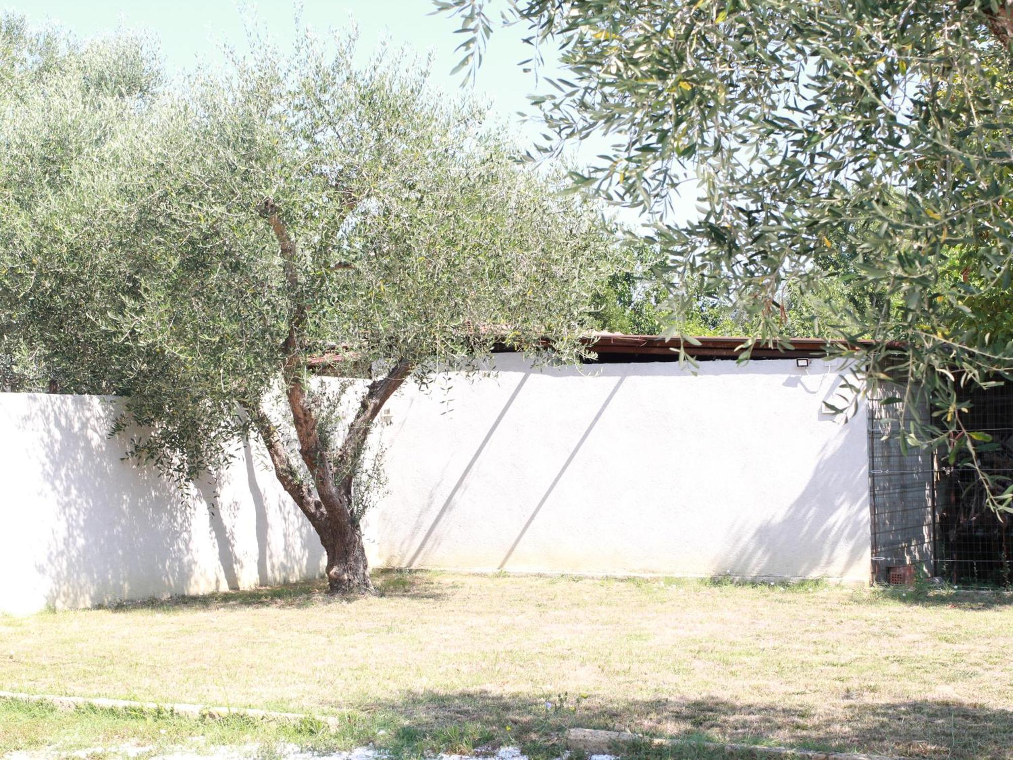 Villetta La Pineta Latignano Bagian luar foto